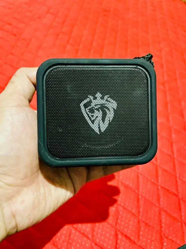 Speaker Lenyes S205