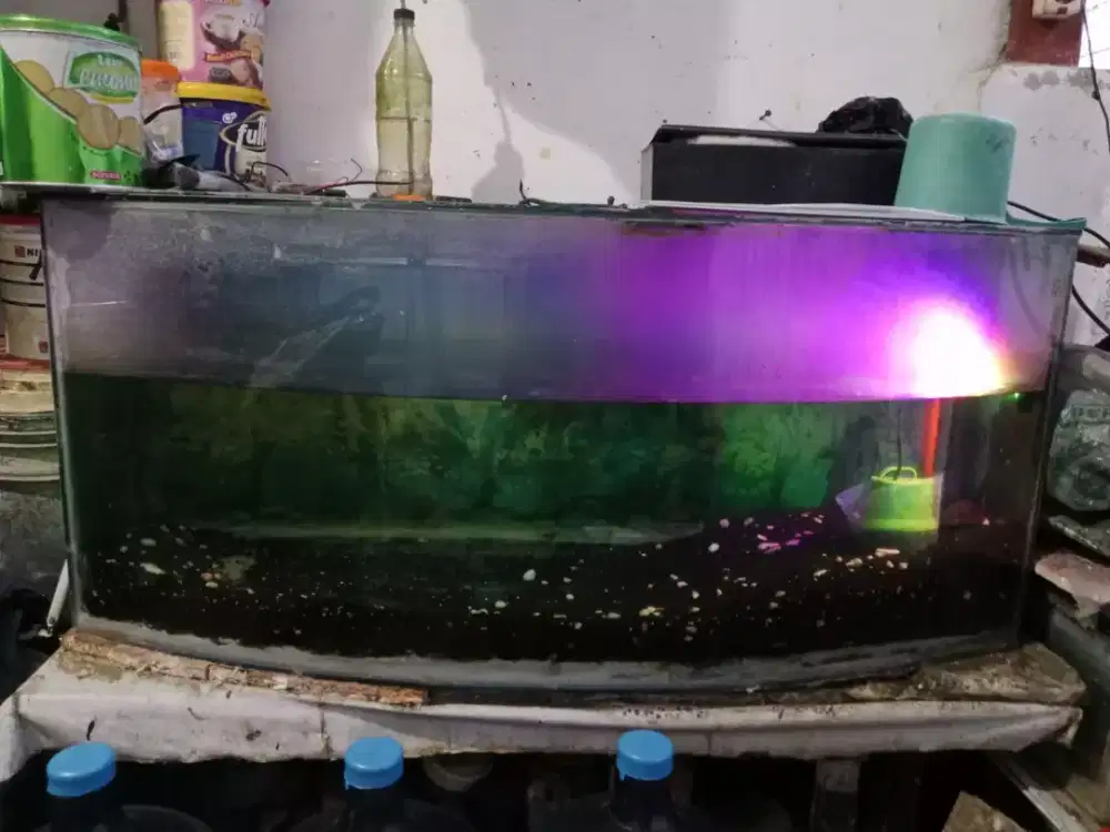 Dijual  aquarium