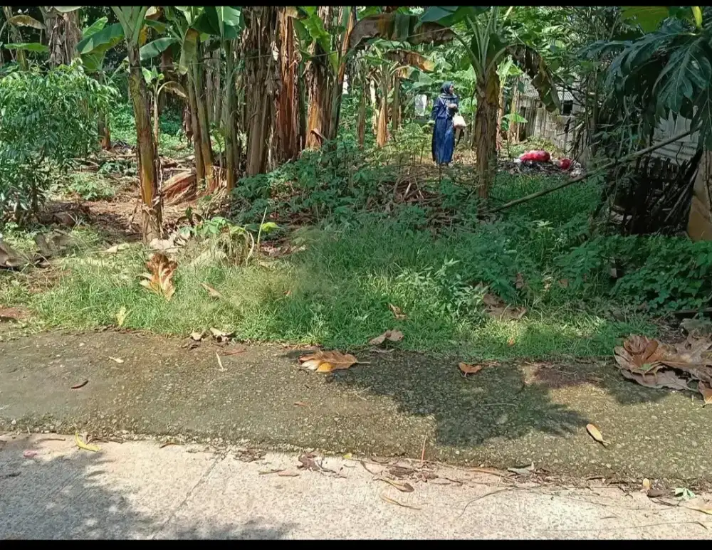 Tanah SHM Pekarangan 380
