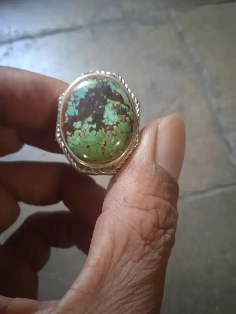 Pirus persi jumbo