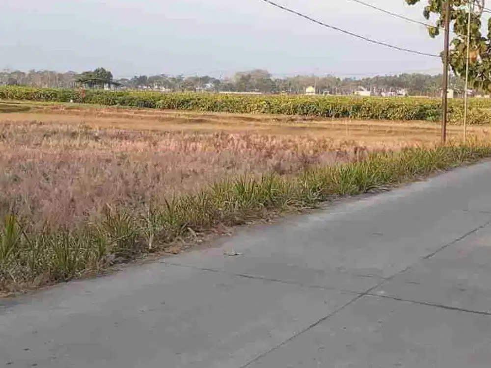 Dijual Lahan Luas Spec Ideal untuk Perumahan Subsidi