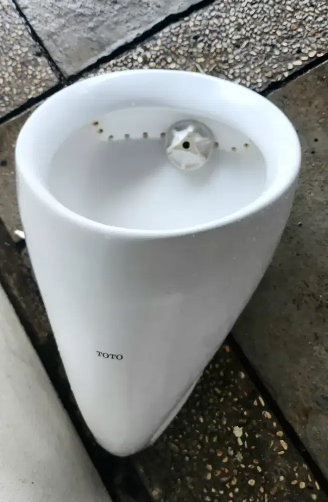 Urinal (tempat kencing pria) Toto