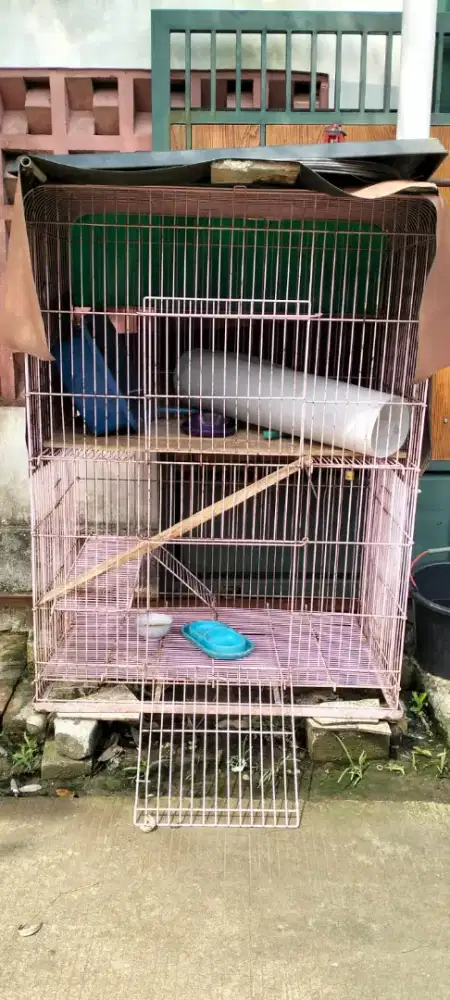 Di jual Kandang Kucing