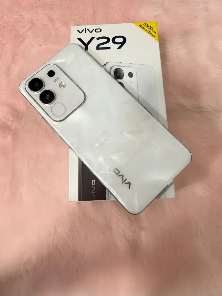 Vivo Y29 8/128 Fullset