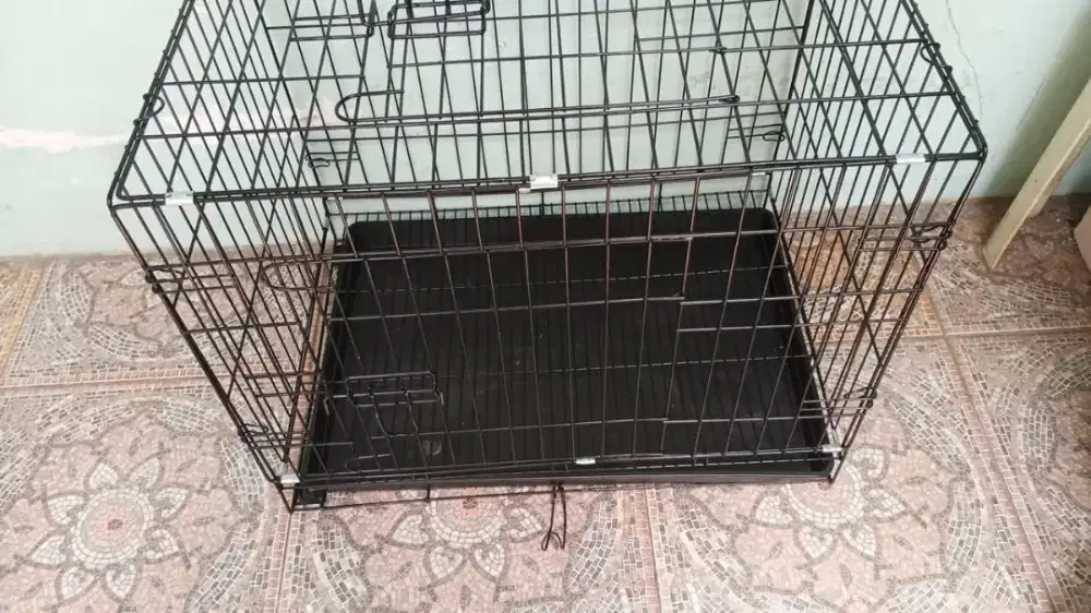 Kandang Kucing Medium