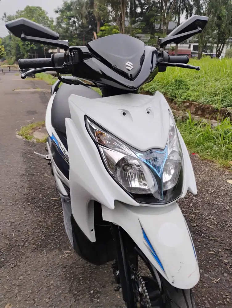 Suzuki Hayate 2013