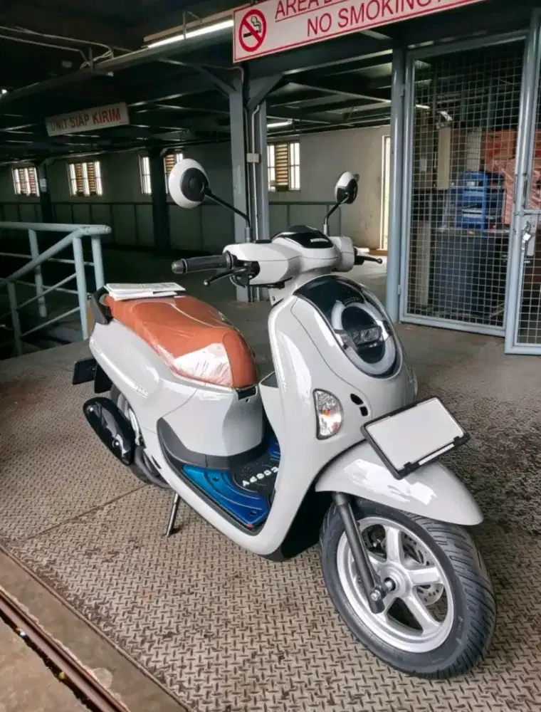 HONDA SCOOPY STYLISH