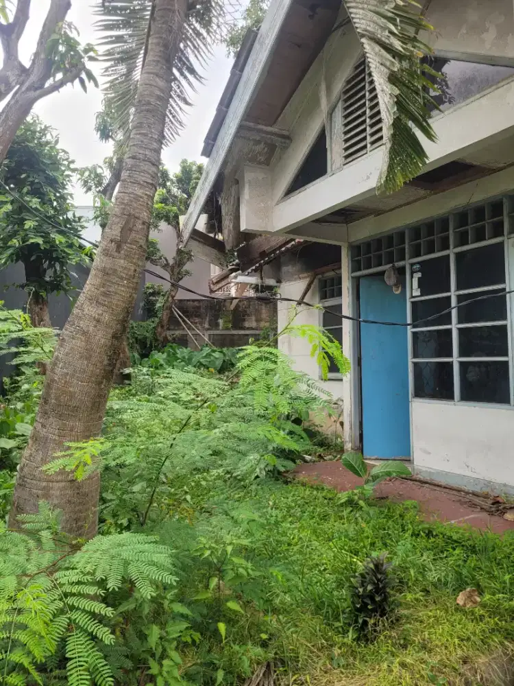 DIJUAL CEPAT TANAH BONUS RUMAH TUA GRIYA LOKA BSD