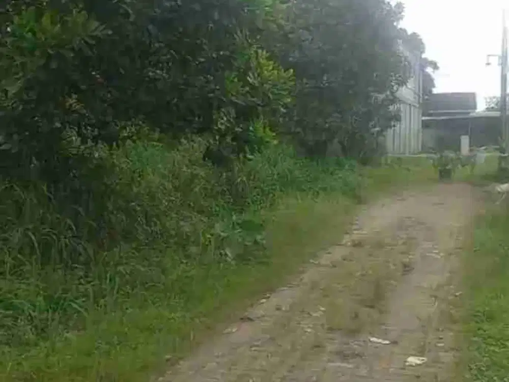 dijual kavling dekat perumahan bukit Dago di gunung Sindur