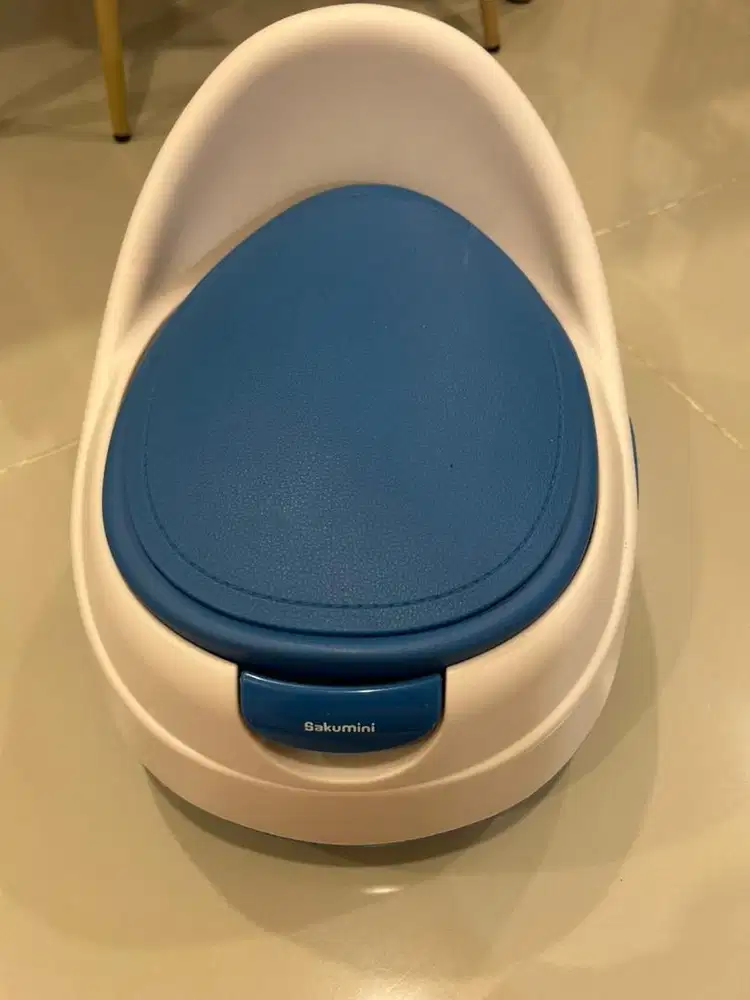 Pispot Potty Training
