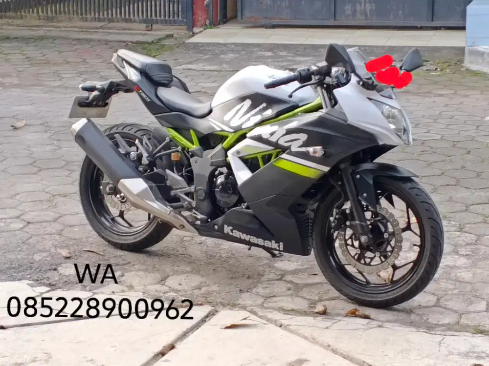 Ninja 250 SL Tahun 2019