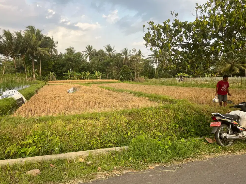 Dijual tanah sawah murah di sambermbe Purwobinangun pakem Sleman