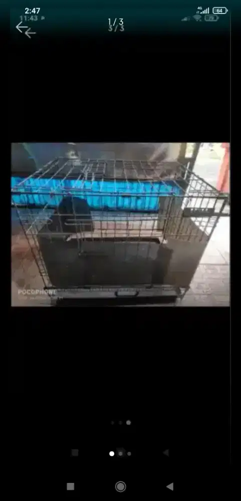 Kandang kucing  murah
