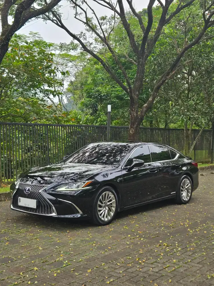 Lexus ES300H Ultra Luxury 2020