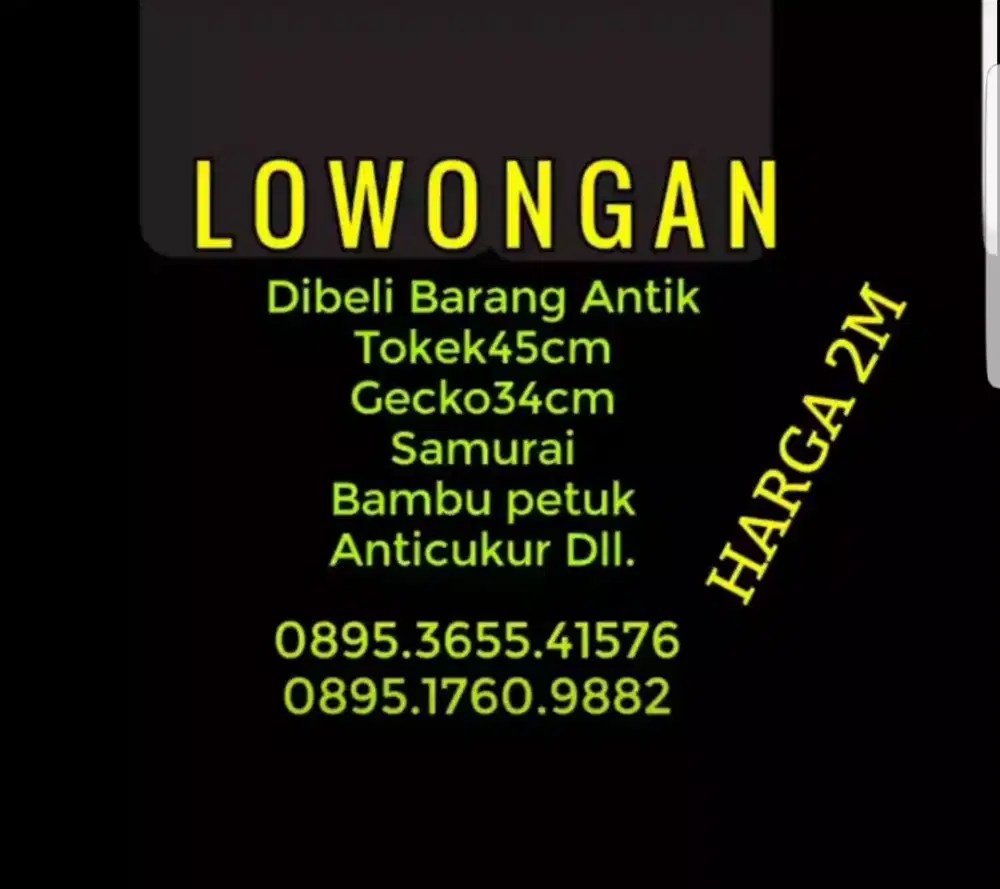 Dibutuhkan pekerja pawang tokek