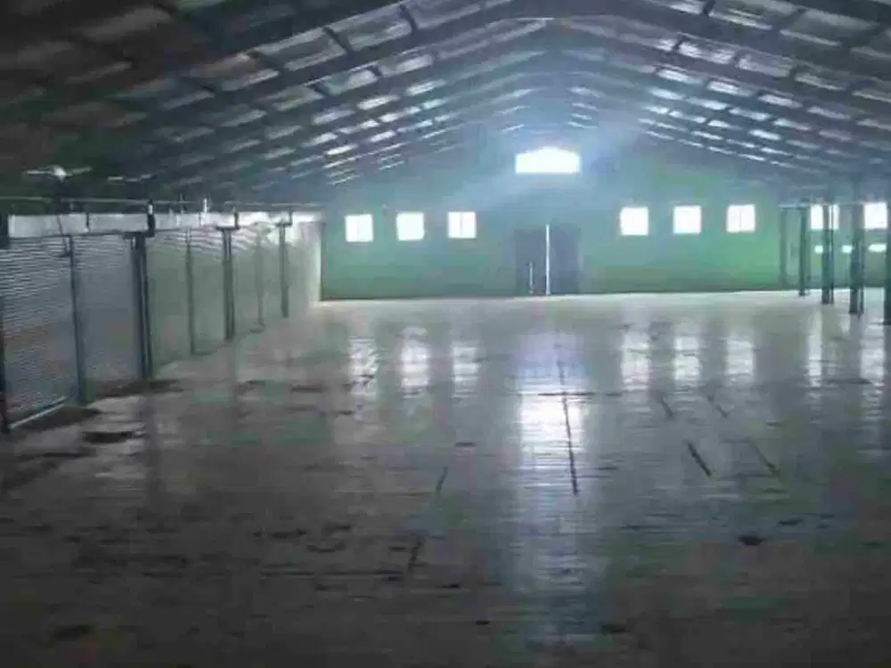 Jarang Ada Gudang Sewa di Gedangan. Dkt Waru Buduran Sidoarjo