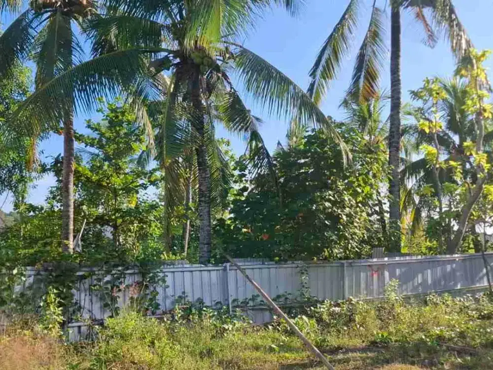 Disewakan tnh datar, pinggir pantai pasir putih bias munjul dipulau ceningan