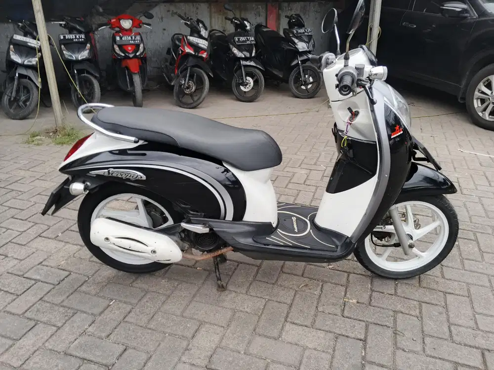 Scoopy 2011. Pajak hidup