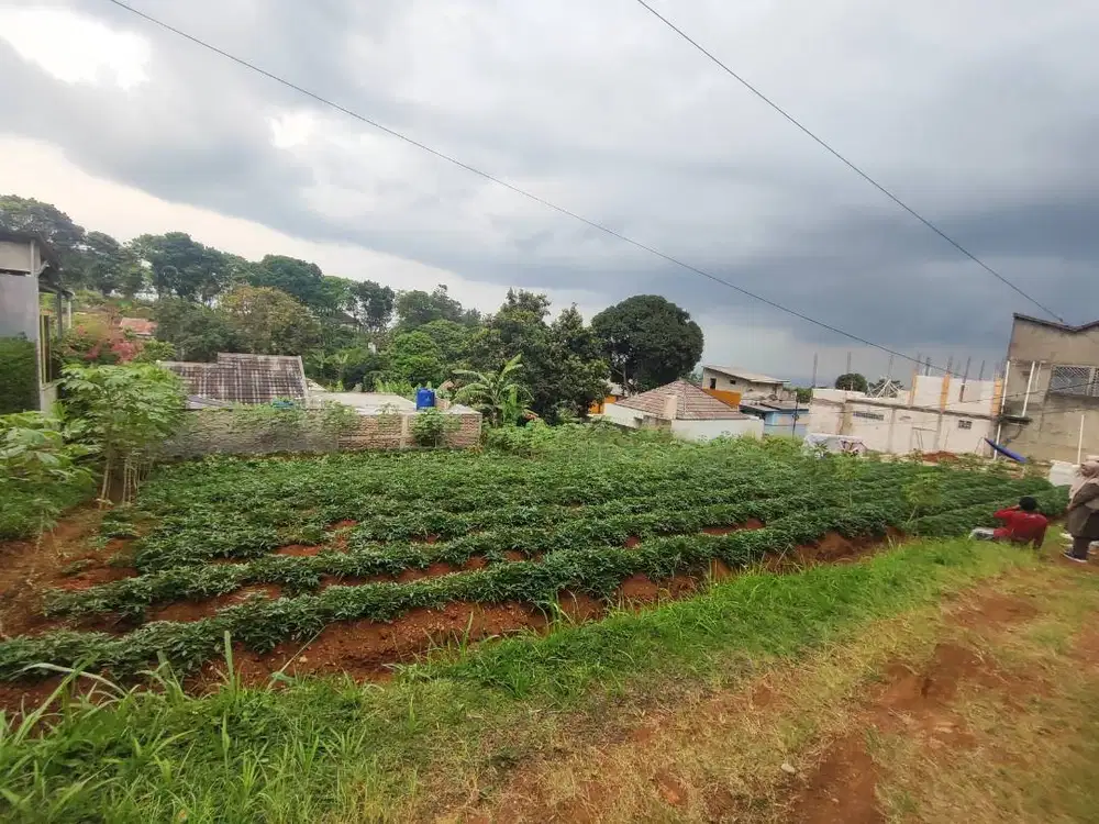 Dijual Kavling Tanah di Lingkungan Asri Bandung Timur