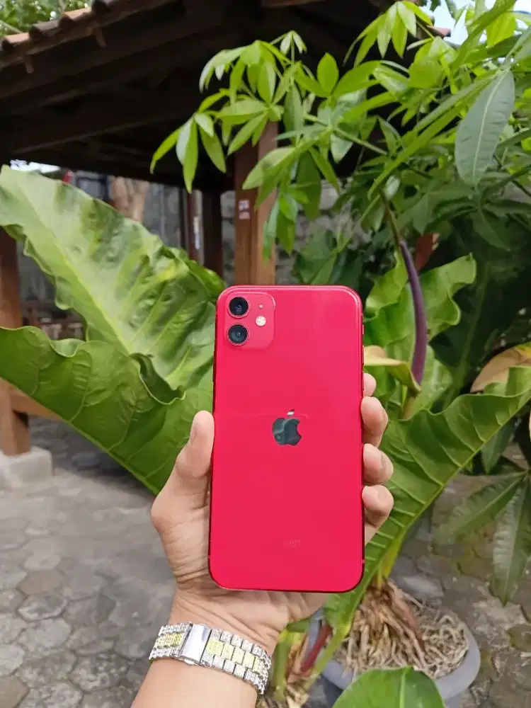 iPhone 11 64Gb LLaA/Inter sinyal All operator
