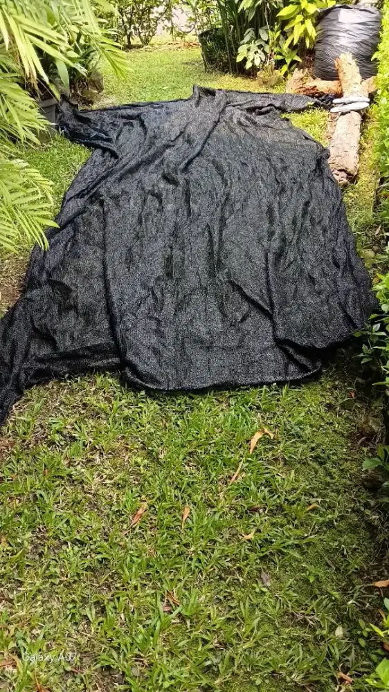 Paranet jala hitam