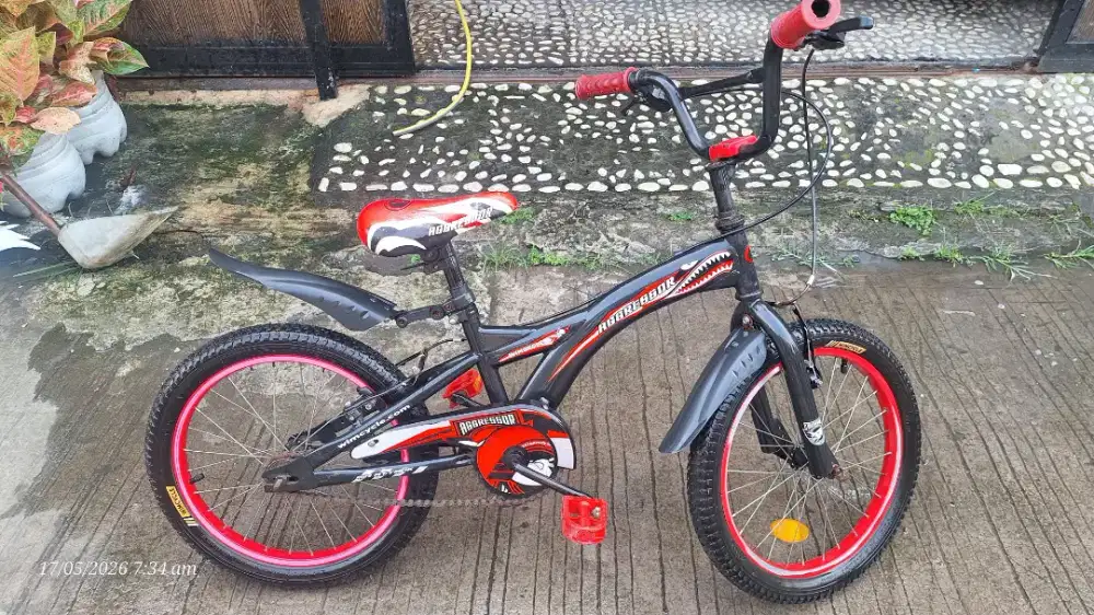 Sepeda wim cycle