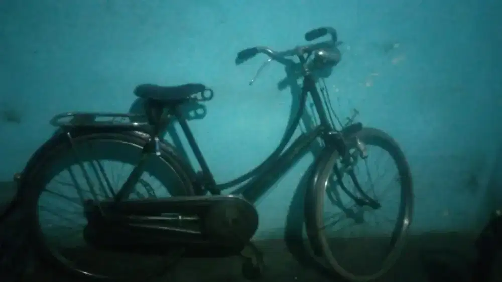 Sepeda Ontel Sepeda Kumbang Koleksi