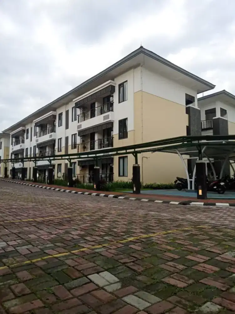 Jasa Tukang cat