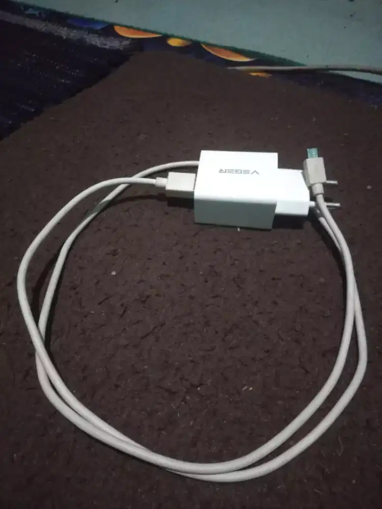 Charger type biasa