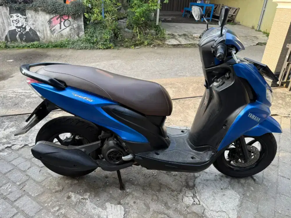 Freego THN 2019 plat AB kota