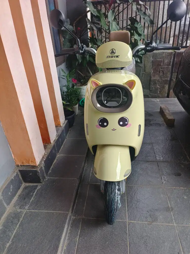 Sepeda Listrik Exotic Varilux Pro 640 Watt pemakaian 1 tahun
