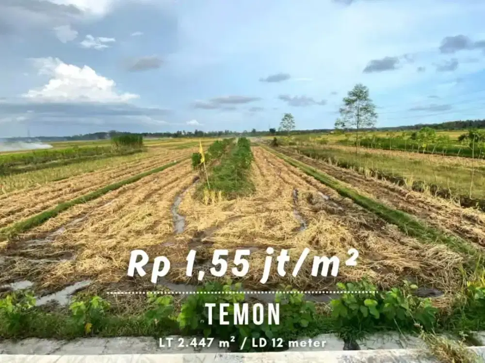Dijual Tanah Sawah Strategis dekat Bandara YIA