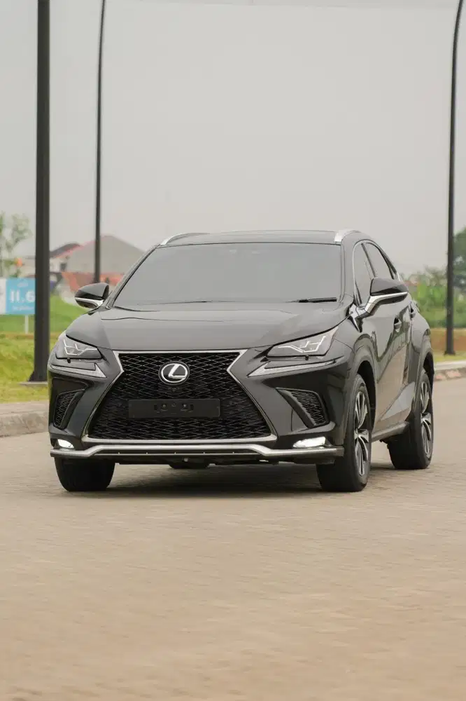 [ Low Odo ] Lexus NX300t F-Sport 2.0 2019