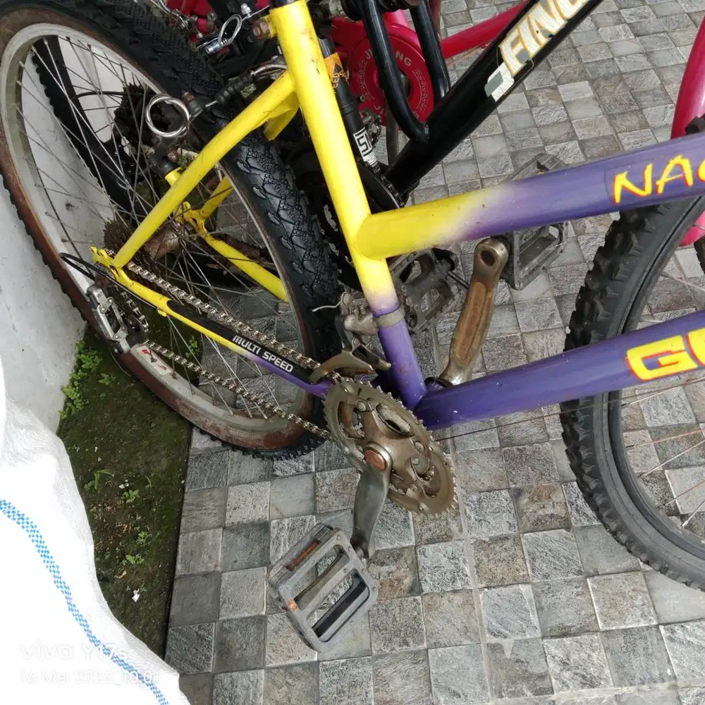 Speda genio gunung