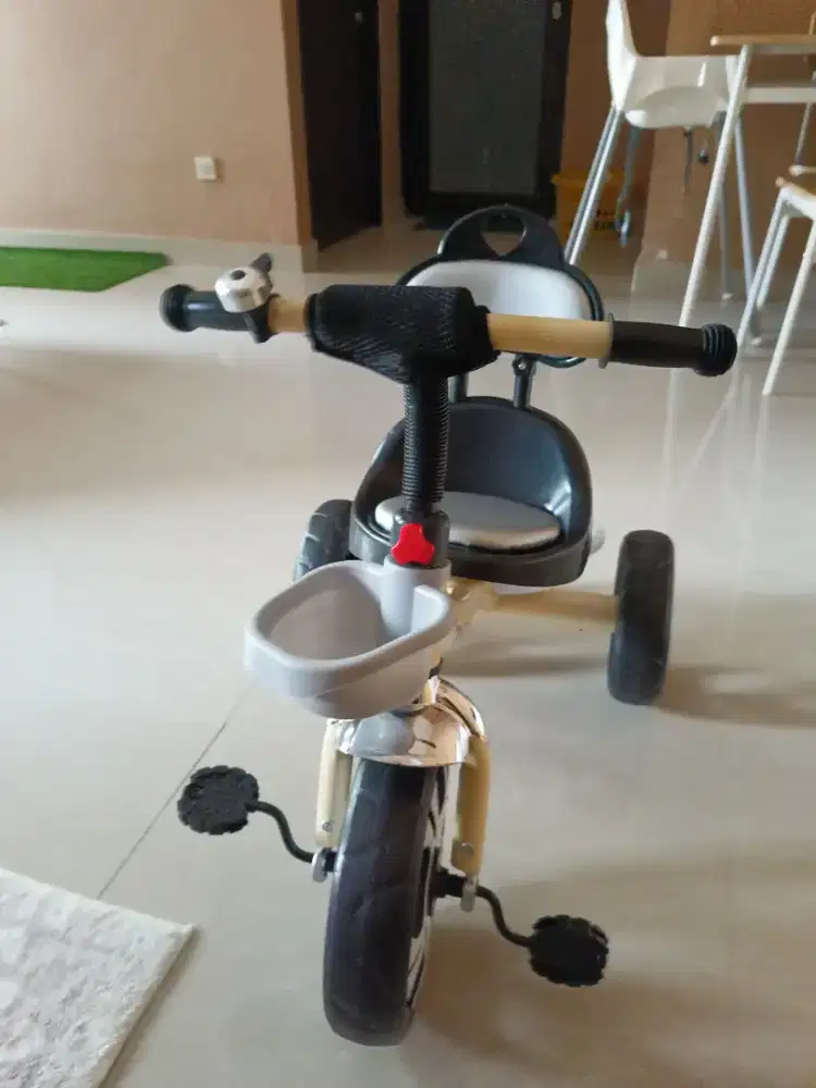 Sepeda anak aviator