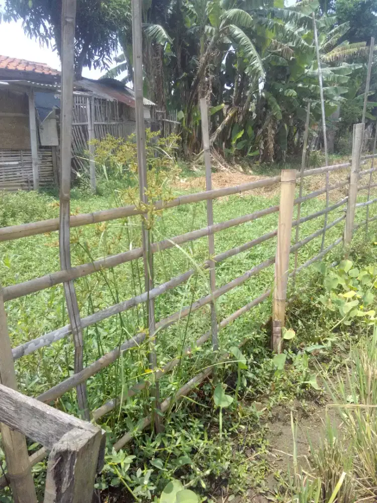 Tanah murah ukuran paforit jarang ada 4,5 tumbak, pertumbak 8,5 jt .