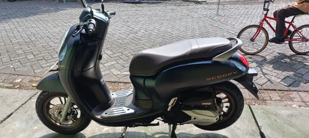 Scoopy 2024 pristige