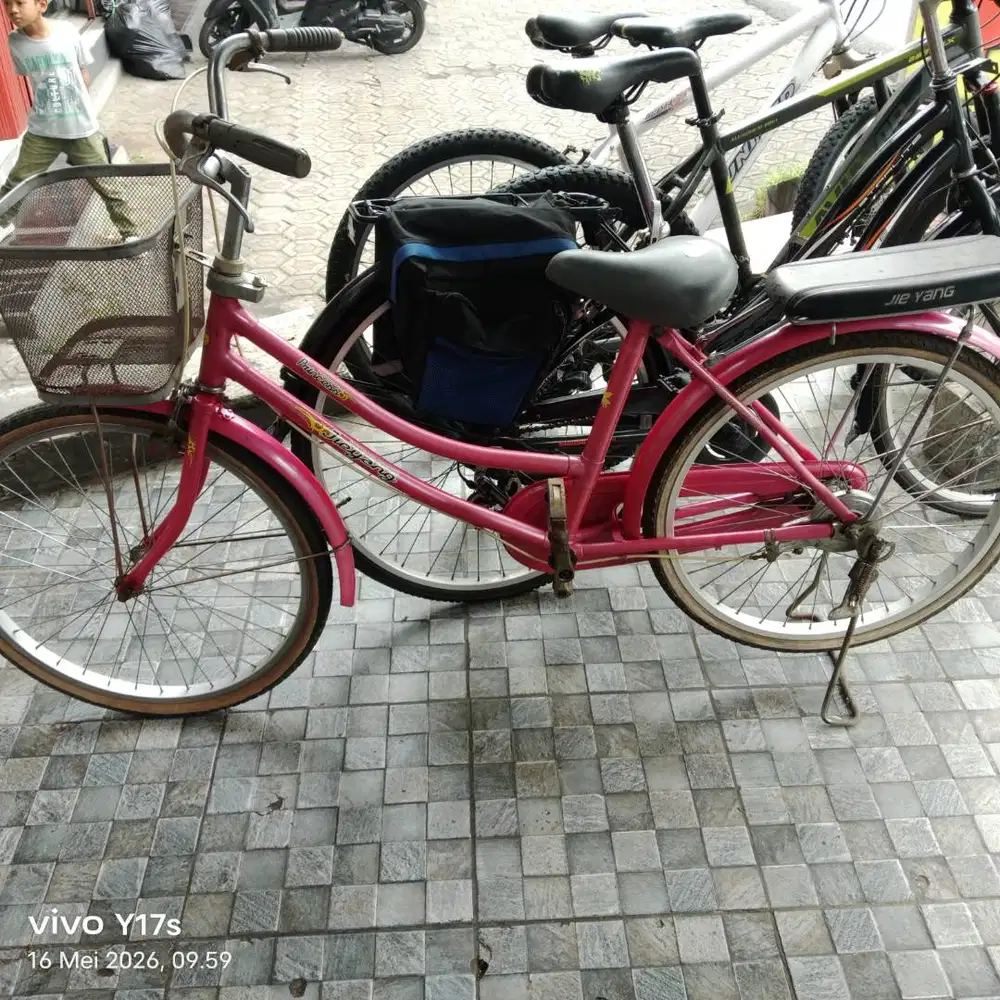 Speda cewe jieyang pink