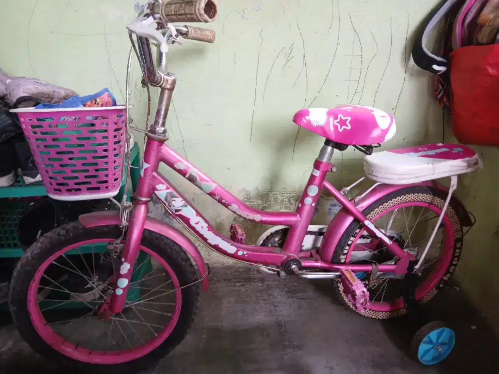 Sepeda Anak 4 - 6 Tahun