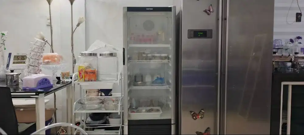 Kulkas Minuman Showcase Polytron Ganteng