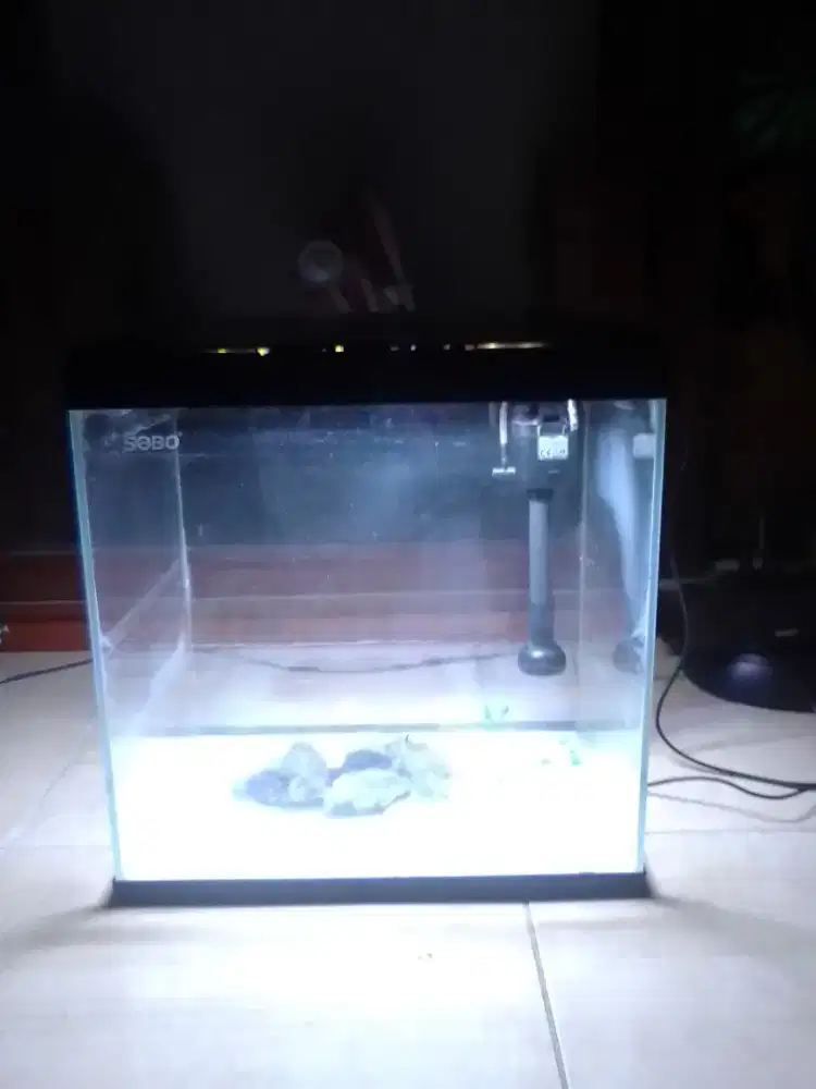 Aquarium Suhu Air hias
