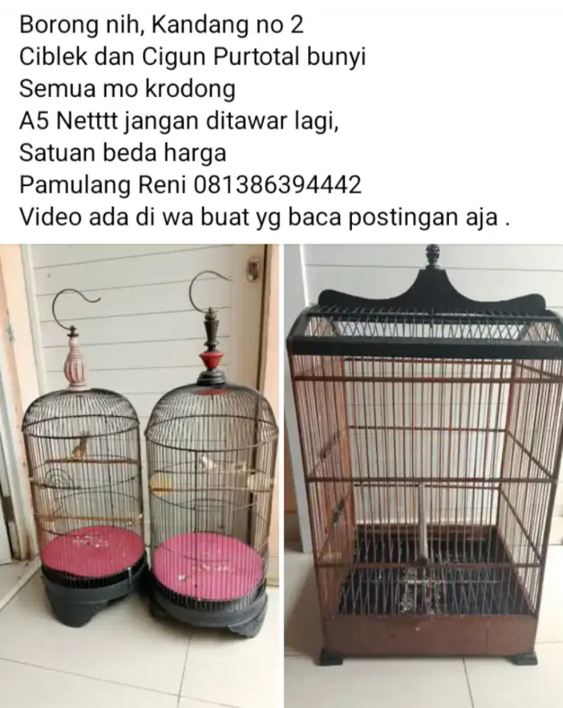 Burung dan Kandang