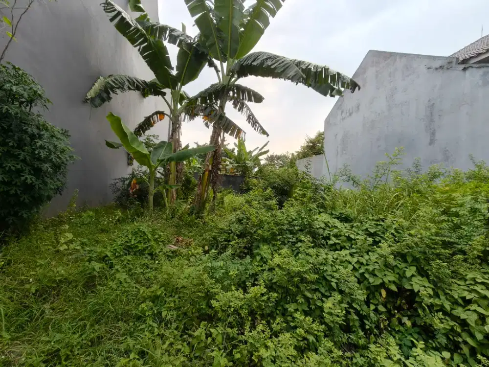 DIJUAL TANAH KAPLING JAYALAND