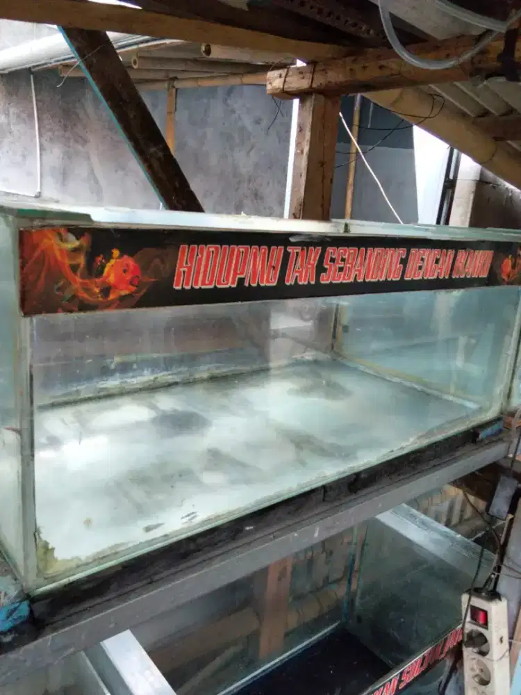 Jual Akuarium Bekas