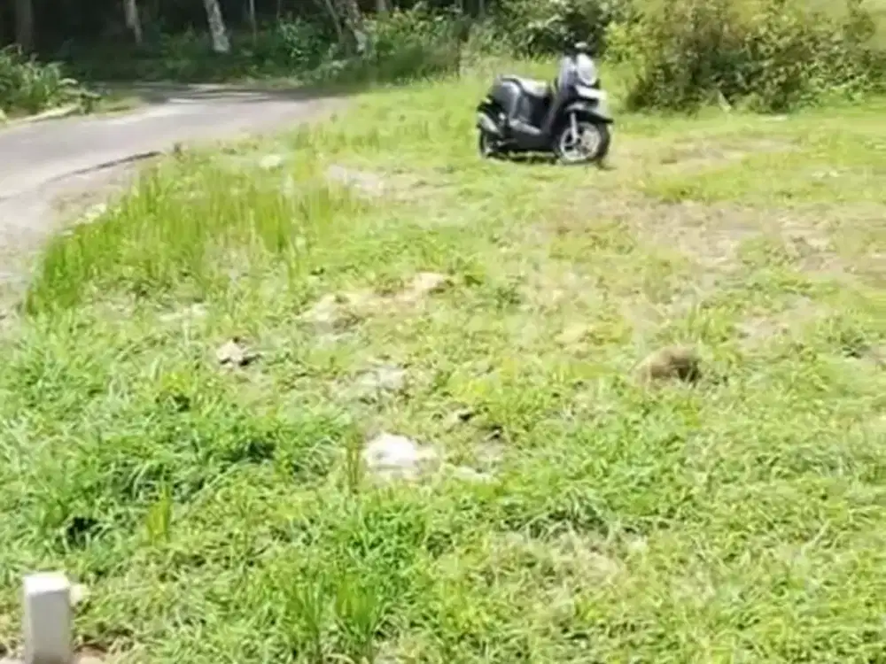 Dijual Tanah Pekarangan di Sumber Arum Moyudan Sleman