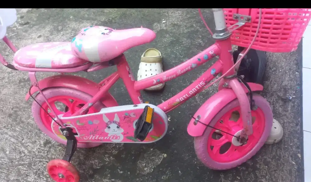 Sepeda anak Perempuan 5 tahun murMer