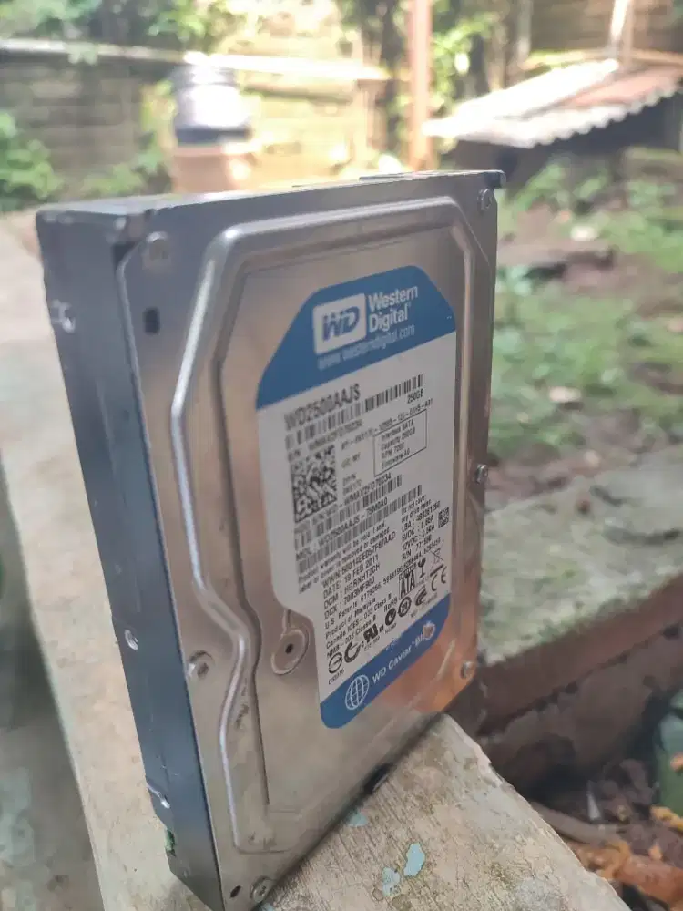 Jual Hardisk 250gb
