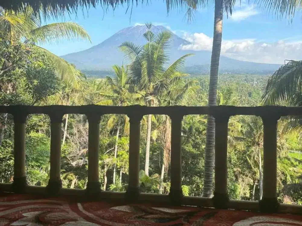 jual tanah bunganya karangasem 43 are