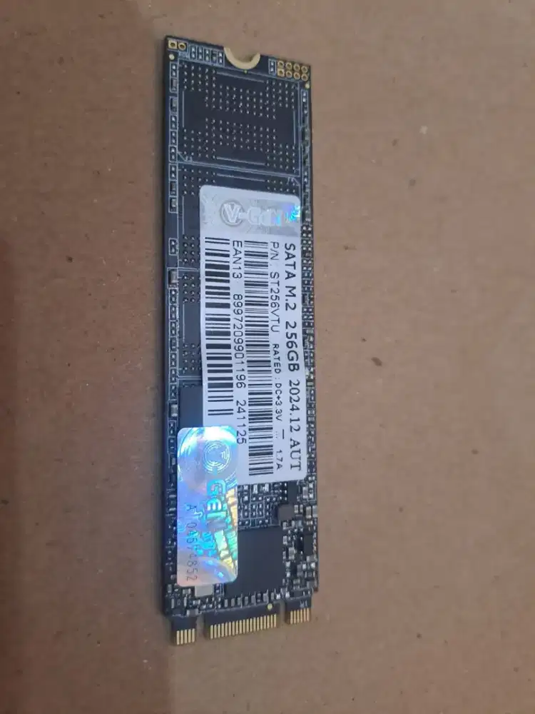 SSD m2 nvme 256gb merk vgen garansi on sampe thn 2030