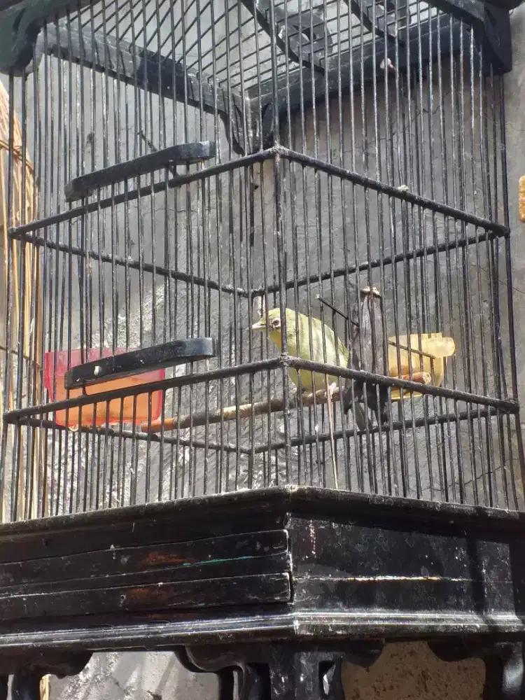 Plc rawaran mulus